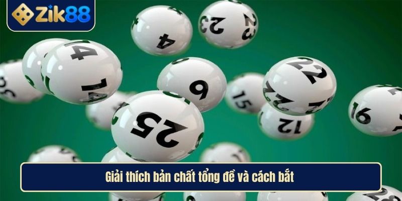 Cách Bắt Tổng Đề Bí Quyết Chinh Phục Giải Đặc Biệt Xổ Số 2 Giải thích bản chất tổng đề và cách bắt