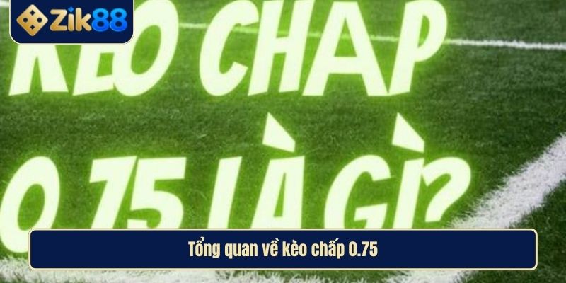 Giải Mã Kèo Chấp 0.75 Cùng Cao Thủ Zik88 Để Thắng Lớn 2 Tổng quan về kèo chấp 0.75