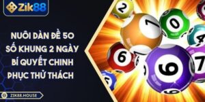 Nuôi Dàn Đề 50 Số Khung 2 Ngày Bí Quyết Chinh Phục Thử Thách