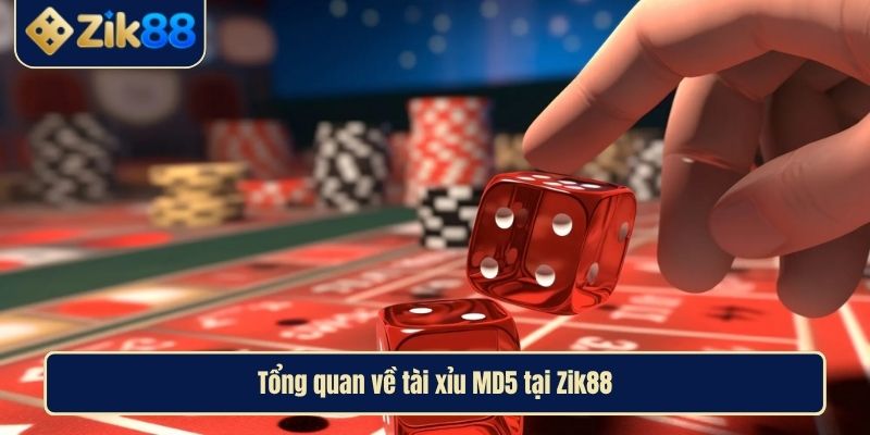 Tài Xỉu MD5 Hấp Dẫn, Minh Bạch, An Toàn Và Hiệu Quả Tại Zik88 2 Tổng quan về tài xỉu MD5