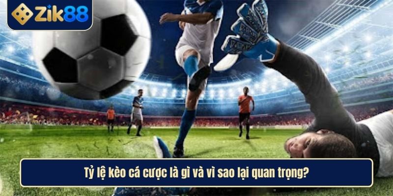 Cách Hiểu Đúng Tỷ Lệ Kèo Cá Cược Và Chơi Khôn Ngoan Cùng Zik88 2 Tỷ lệ kèo cá cược là gì và vì sao lại quan trọng?