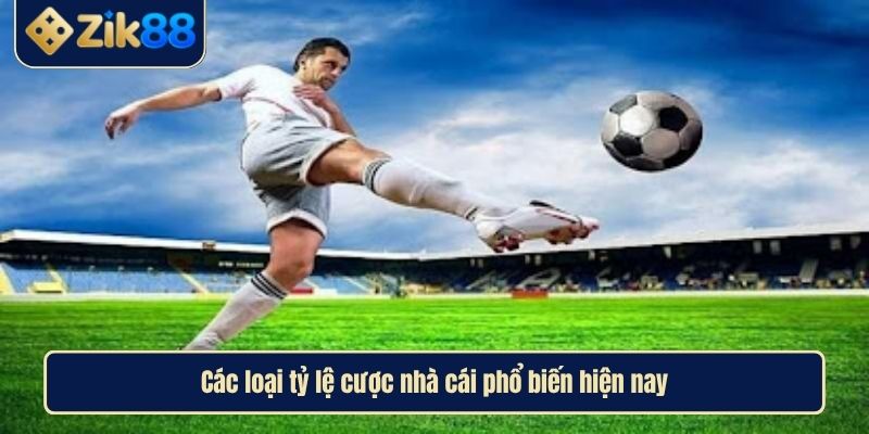 Tỷ Lệ Kèo Nhà Cái Là Gì Và Bí Kíp Soi Chuẩn Xác Từ Zik88 3 Các loại tỷ lệ cược nhà cái phổ biến hiện nay